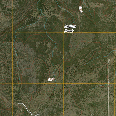 United States Geological Survey Blowout, TX (2010, 24000-Scale) digital map