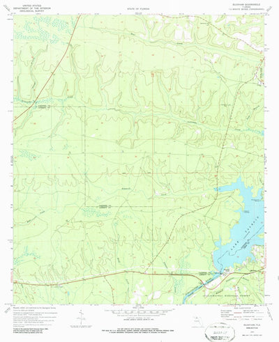 United States Geological Survey Bloxham, FL (1972, 24000-Scale) digital map