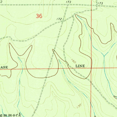 United States Geological Survey Bloxham, FL (1972, 24000-Scale) digital map