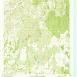 United States Geological Survey Blucher Mountain, TX (1980, 24000-Scale) digital map