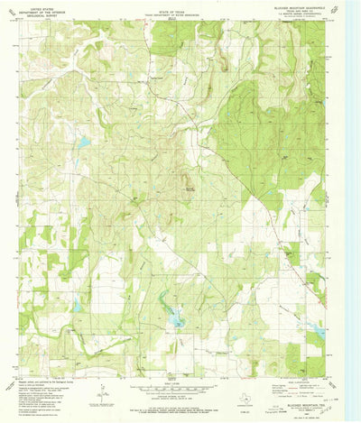 United States Geological Survey Blucher Mountain, TX (1980, 24000-Scale) digital map