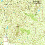 United States Geological Survey Blucher Mountain, TX (1980, 24000-Scale) digital map