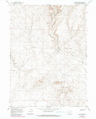 United States Geological Survey Blue Forest, WY (1968, 24000-Scale) digital map