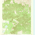 United States Geological Survey Blue Hole Springs, TX (1963, 24000-Scale) digital map