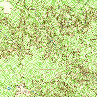 United States Geological Survey Blue Hole Springs, TX (1963, 24000-Scale) digital map