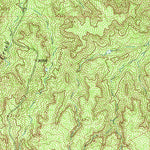 United States Geological Survey Blue Hole Springs, TX (1963, 24000-Scale) digital map