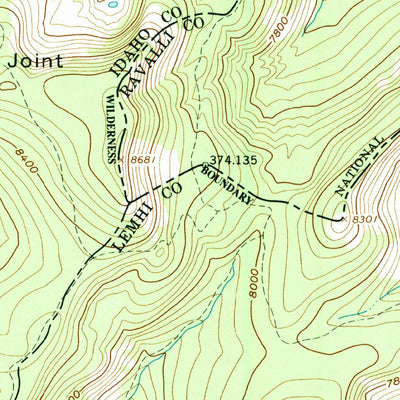United States Geological Survey Blue Joint, ID-MT (1991, 24000-Scale) digital map
