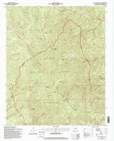 United States Geological Survey Blue Mountain, NM (1995, 24000-Scale) digital map