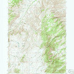 United States Geological Survey Blue Nose Creek, WY (1964, 24000-Scale) digital map