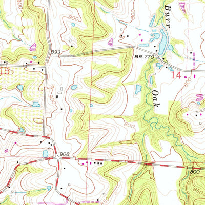 United States Geological Survey Blue Springs, MO (1965, 24000-Scale) digital map
