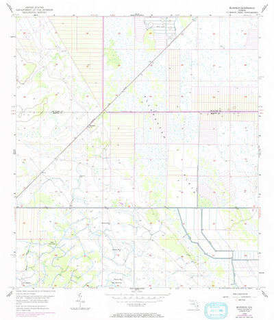 United States Geological Survey Bluefield, FL (1953, 24000-Scale) digital map