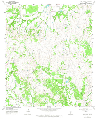 United States Geological Survey Bluff Dale NE, TX (1965, 24000-Scale) digital map