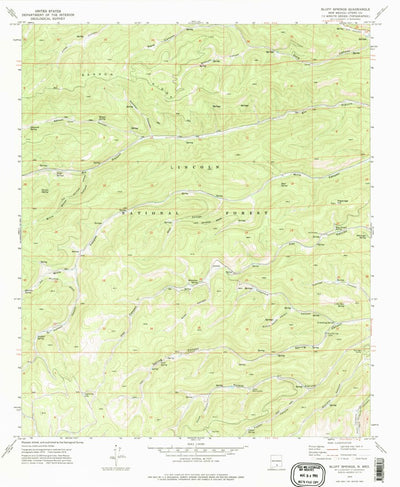 United States Geological Survey Bluff Springs, NM (1974, 24000-Scale) digital map