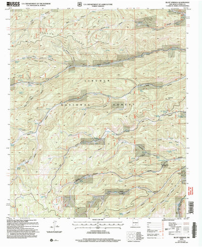 United States Geological Survey Bluff Springs, NM (2004, 24000-Scale) digital map