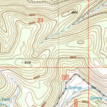 United States Geological Survey Bluff Springs, NM (2004, 24000-Scale) digital map