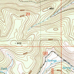 United States Geological Survey Bluff Springs, NM (2004, 24000-Scale) digital map