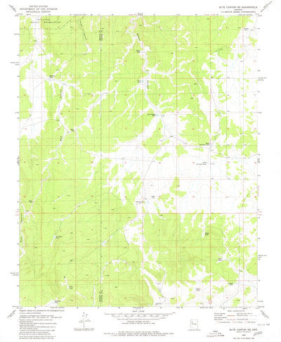 United States Geological Survey Blye Canyon NE, AZ (1980, 24000-Scale) digital map
