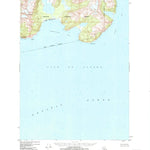 United States Geological Survey Blying Sound D-5, AK (1950, 63360-Scale) digital map