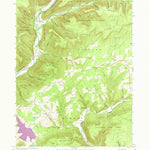 United States Geological Survey Bodines, PA (1965, 24000-Scale) digital map