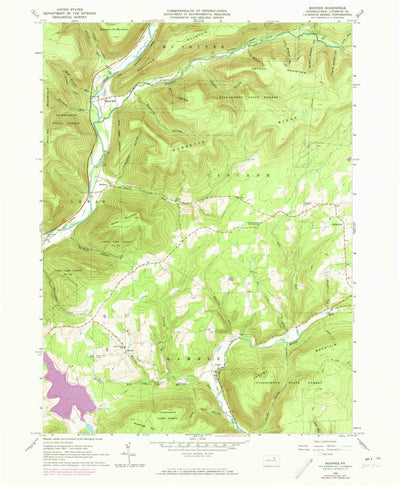 United States Geological Survey Bodines, PA (1965, 24000-Scale) digital map