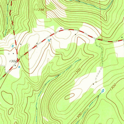 United States Geological Survey Bodines, PA (1965, 24000-Scale) digital map