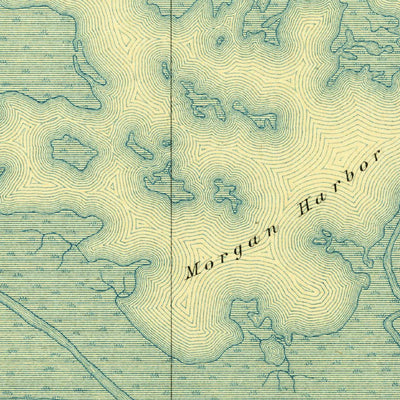 United States Geological Survey Bodreau, LA (1895, 62500-Scale) digital map