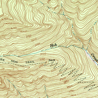 United States Geological Survey Bogachiel Peak, WA (1950, 24000-Scale) digital map