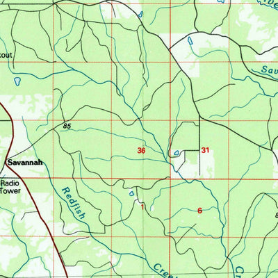 United States Geological Survey Bogalusa, LA-MS (1984, 100000-Scale) digital map
