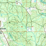 United States Geological Survey Bogalusa, LA-MS (1994, 100000-Scale) digital map