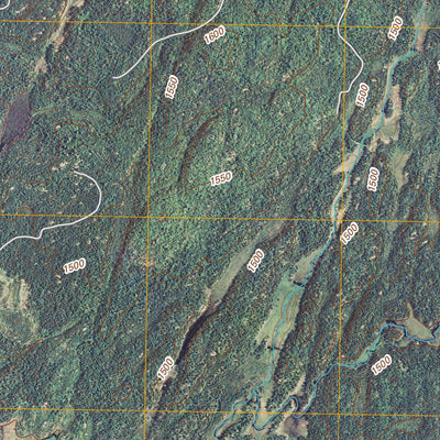 United States Geological Survey Bogberry Lake, MN (2011, 24000-Scale) digital map