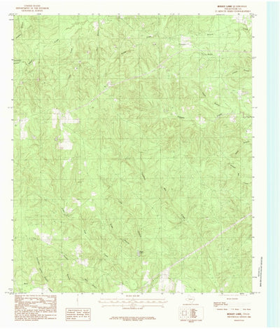 United States Geological Survey Boggy Lake, TX (1984, 24000-Scale) digital map