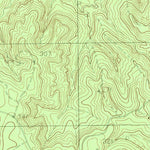 United States Geological Survey Boggy Lake, TX (1984, 24000-Scale) digital map