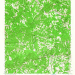 United States Geological Survey Bolingbroke, GA (1956, 62500-Scale) digital map