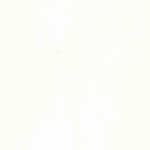 United States Geological Survey Bon Wier, TX-LA (1935, 31680-Scale) digital map