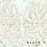 United States Geological Survey Bone Spring NE, TX (1971, 24000-Scale) digital map
