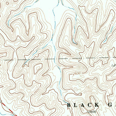 United States Geological Survey Bone Spring NE, TX (1971, 24000-Scale) digital map