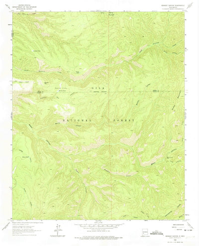 United States Geological Survey Bonine Canyon, NM (1963, 24000-Scale) digital map