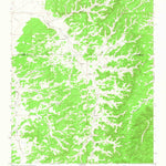United States Geological Survey Bonine Canyon, NM (1964, 24000-Scale) digital map