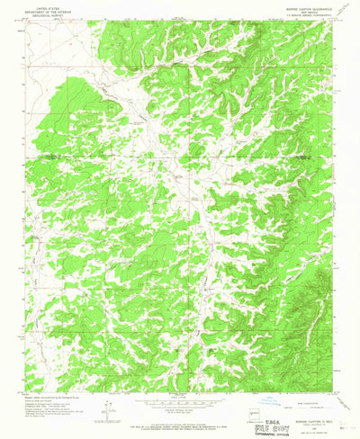 United States Geological Survey Bonine Canyon, NM (1964, 24000-Scale) digital map