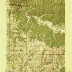 United States Geological Survey Borden, IN (1941, 24000-Scale) digital map
