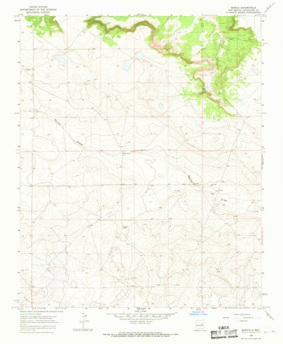 United States Geological Survey Borica, NM (1966, 24000-Scale) digital map