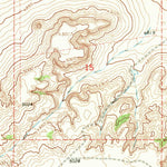 United States Geological Survey Borica SW, NM (1966, 24000-Scale) digital map