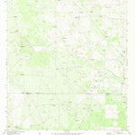 United States Geological Survey Borregos Ranch, TX (1972, 24000-Scale) digital map