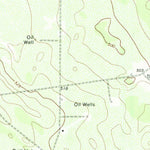 United States Geological Survey Borregos Ranch, TX (1972, 24000-Scale) digital map