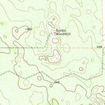 United States Geological Survey Borregos Ranch, TX (1972, 24000-Scale) digital map