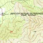 United States Geological Survey Bosque Peak, NM (1954, 24000-Scale) digital map