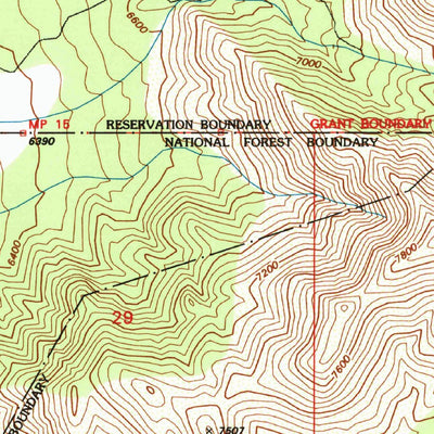 United States Geological Survey Bosque Peak, NM (1991, 24000-Scale) digital map