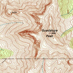 United States Geological Survey Bosque Peak, NM (1991, 24000-Scale) digital map