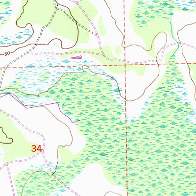 United States Geological Survey Bostwick, FL (1949, 24000-Scale) digital map