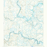 United States Geological Survey Boulogne, GA-FL (1917, 62500-Scale) digital map